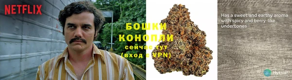 амф Верея