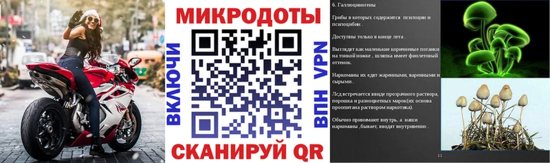 купить Волхов Галлюциногенные грибы прущие грибы